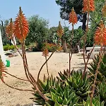Trullo La Cicala Bianca With Private Swimmingpool וילה *