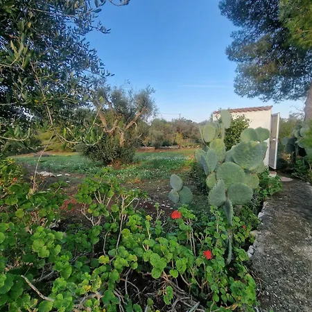 别墅 Trullo La Cicala Bianca With Private Swimmingpool