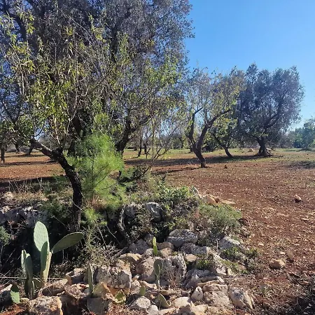 Trullo La Cicala Bianca With Private Swimmingpool 别墅 圣米凯莱萨伦蒂诺