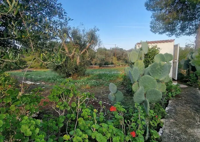 别墅 Trullo La Cicala Bianca With Private Swimmingpool
