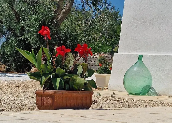 别墅 Trullo La Cicala Bianca With Private Swimmingpool