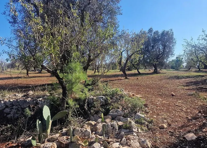 Trullo La Cicala Bianca With Private Swimmingpool וילה סן מיקלה סלנטינו