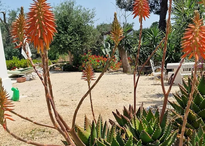 Trullo La Cicala Bianca With Private Swimmingpool 别墅 *