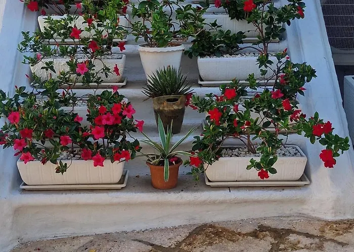 Trullo La Cicala Bianca With Private Swimmingpool סן מיקלה סלנטינו